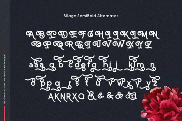Bilage Font by 160 Studio — Script Handwritten Font — thumbnail 8
