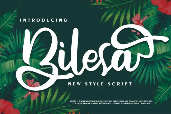 Bilesa Font by Vunira — Script Handwritten Font