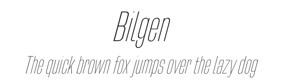 Bilgen