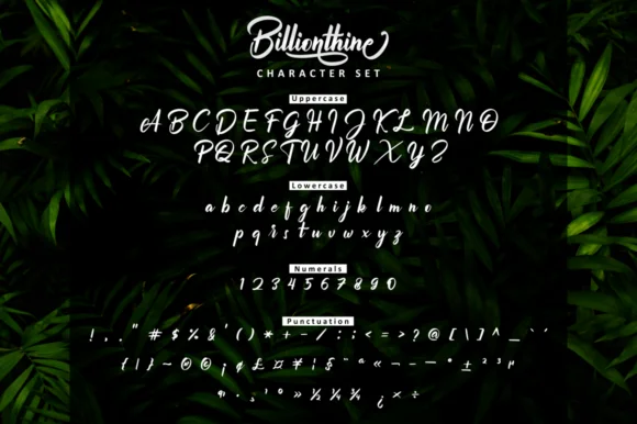 Billionthine Script Font by Ketikata Studio — Script Handwritten Font — thumbnail 3