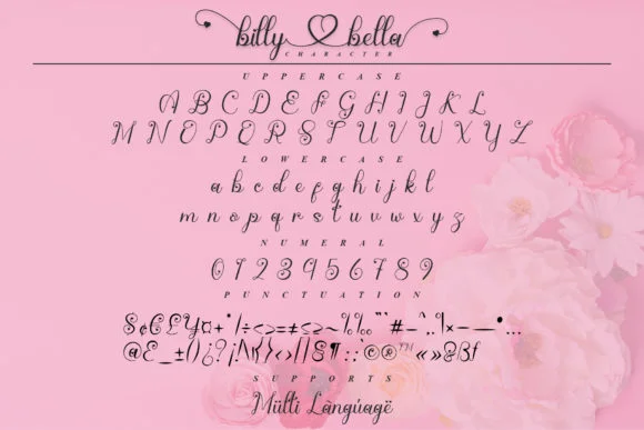 Billy Bella Font by YanStudio — Script Handwritten Font — thumbnail 8