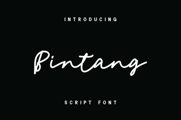 Bintang Font by GFRcreative by GFRcreative — Script Handwritten Font