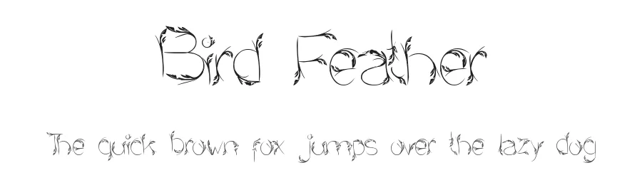 Bird Feather