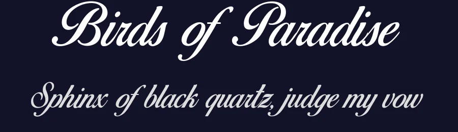 Birds of Paradise by Herofonts — Script Handwritten Font — thumbnail 2
