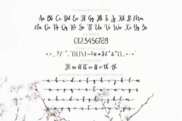 Birdy Home Font by Reyrey Blue — Script Handwritten Font — thumbnail 8