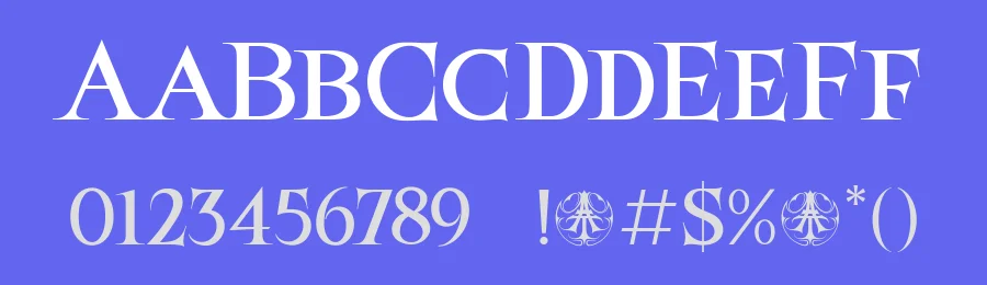 Birtgoche by ilhamtaro — Serif Font — thumbnail 3