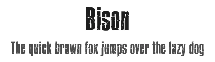 Bison by Pseudoroom — Decorative Font