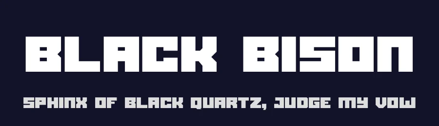 Black Bison by Linecreative — Sans Serif Font — thumbnail 2