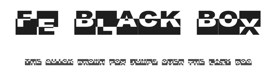 FE Black Box