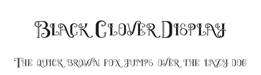 Black Clover Display