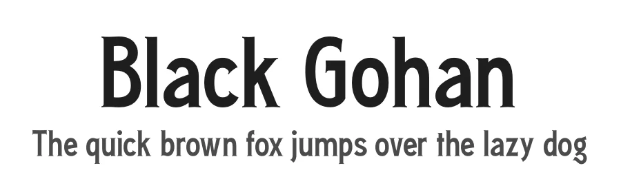 Black Gohan by Storytype Studio β Serif Font