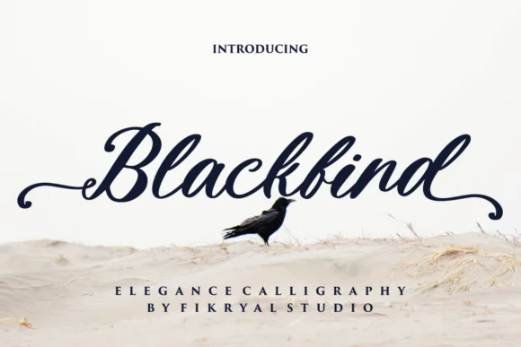 Blackbird Font by Fikryal Studio — Script Handwritten Font