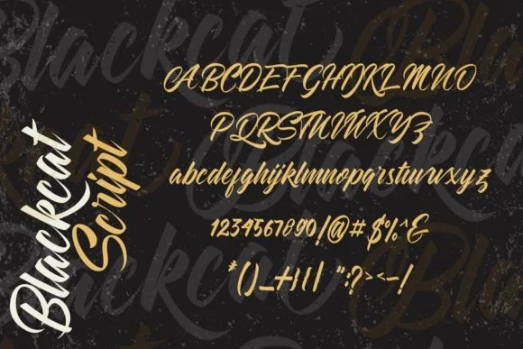 Blackcat Font by Debut Studio — Script Handwritten Font — thumbnail 8