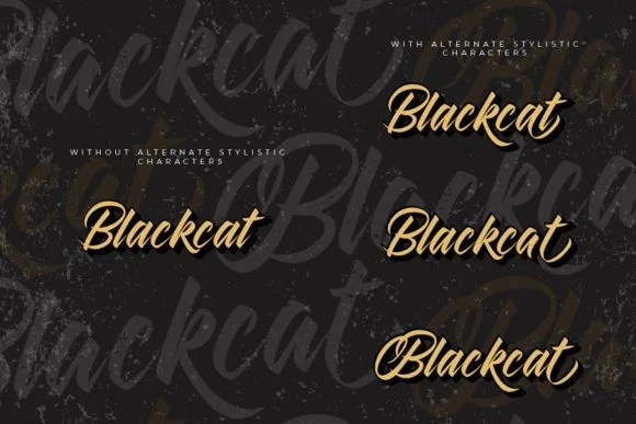 Blackcat Font by Debut Studio — Script Handwritten Font — thumbnail 9