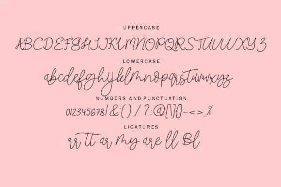 Blackstore Signature Font by Shape Studio — Script Handwritten Font — thumbnail 2