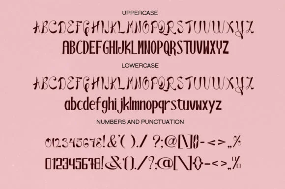 Blackstore Signature Font by Shape Studio — Script Handwritten Font — thumbnail 7