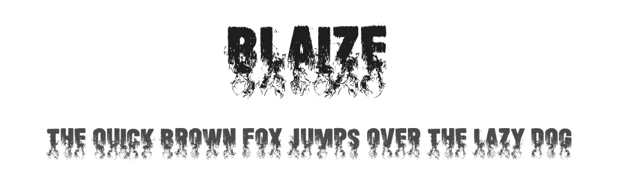 Blaize