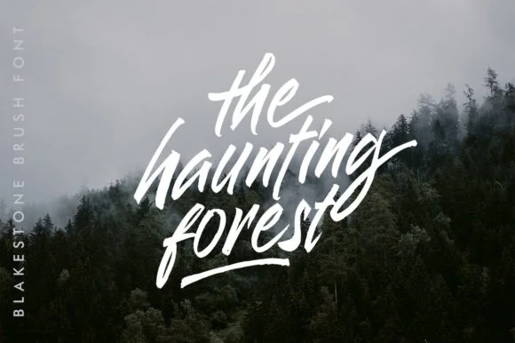 Blakestone Font by letterhend — Script Handwritten Font — thumbnail 2