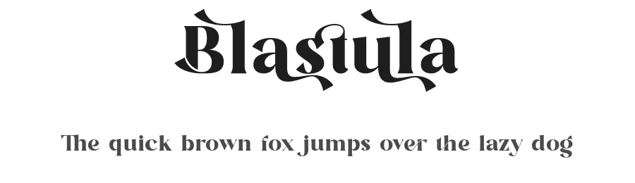 Blastula