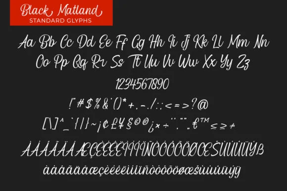 Blcak Matland Font by Mytype Studio — Script Handwritten Font — thumbnail 7