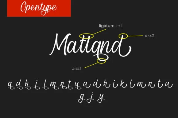 Blcak Matland Font by Mytype Studio — Script Handwritten Font — thumbnail 8