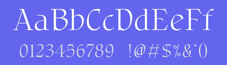 Bligra by BrandSemut — Serif Font — thumbnail 3