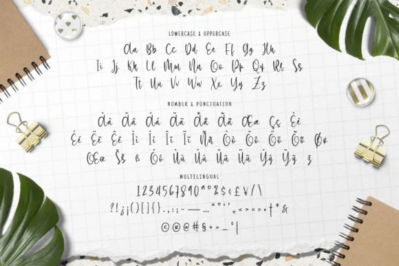 Bloena Font by Fype Co. — Script Handwritten Font — thumbnail 5
