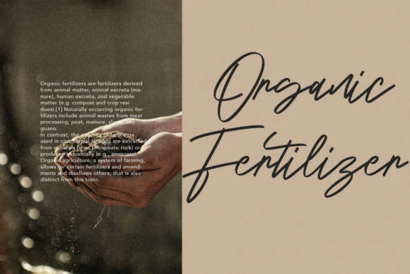 Blondey Rich Font by Maulana Creative — Script Handwritten Font — thumbnail 3