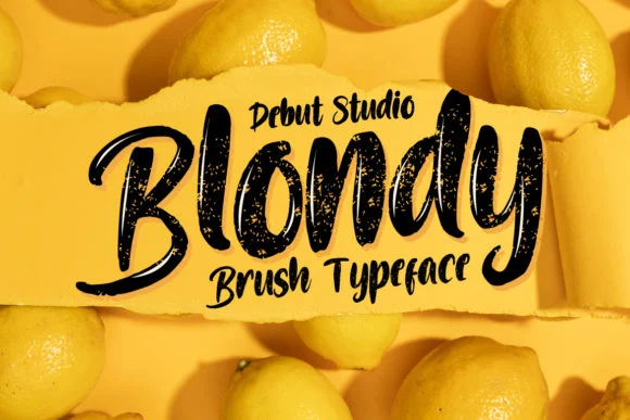 Blondy Font by Debut Studio — Script Handwritten Font