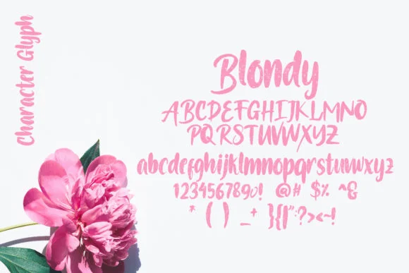 Blondy Font by Debut Studio — Script Handwritten Font — thumbnail 5
