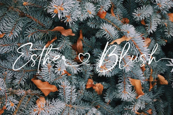 Bloom Winter Font by SansAndSons — Script Handwritten Font — thumbnail 7
