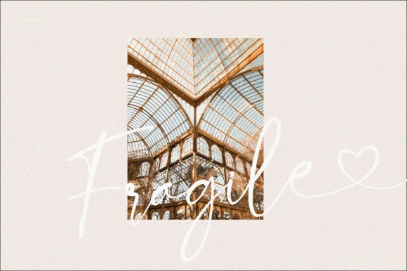 Bloom Winter Font by SansAndSons — Script Handwritten Font — thumbnail 9