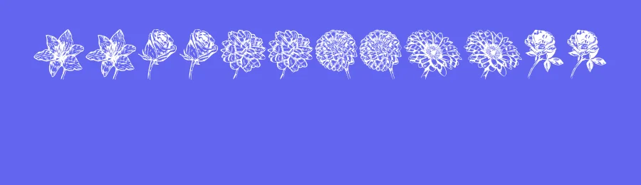 Blumen by Vladimir Nikolic — Dingbats Font — thumbnail 3