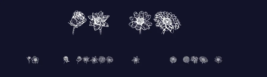 Blumen by Vladimir Nikolic — Dingbats Font — thumbnail 2