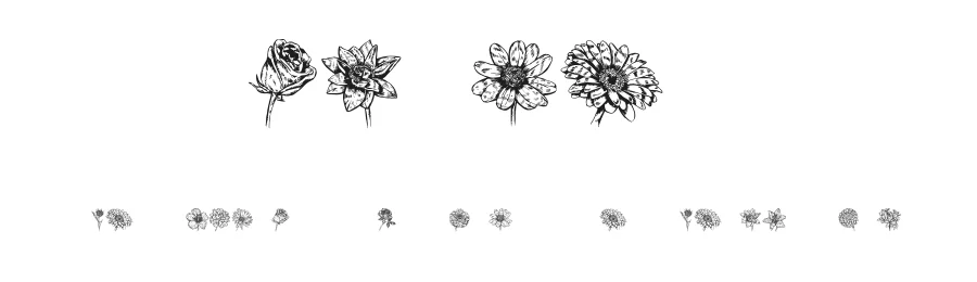 Blumen by Vladimir Nikolic — Dingbats Font