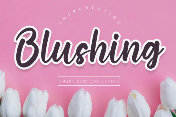 Blushing Font by Misterletter.co by Misterletter.co — Script Handwritten Font