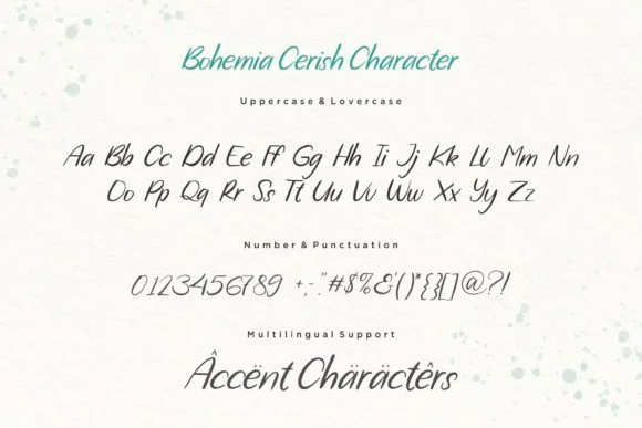 Bohemia Cerish Font by pailystudio — Script Handwritten Font — thumbnail 6