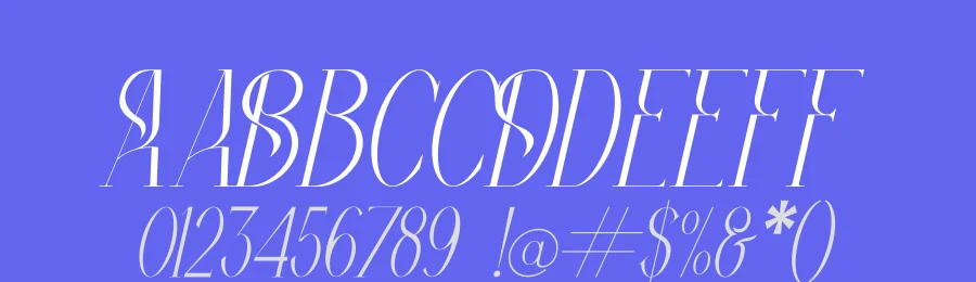 Bolinger by Storytype Studio — Sans Serif Font — thumbnail 3