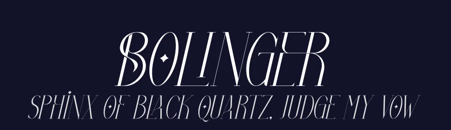 Bolinger by Storytype Studio — Sans Serif Font — thumbnail 2