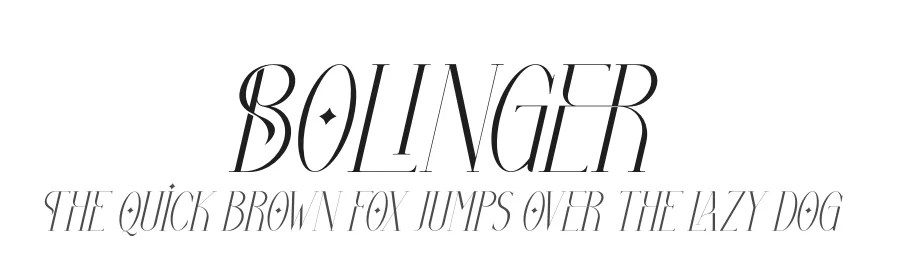 Bolinger by Storytype Studio — Sans Serif Font