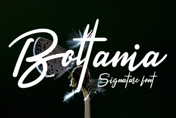 Boltania Font by FL Space — Script Handwritten Font