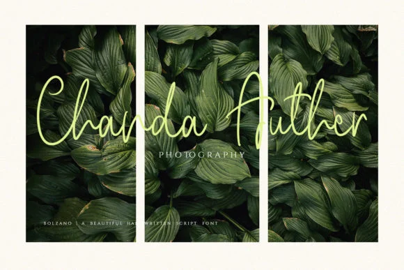 Bolzano Font by Graphicfresh — Script Handwritten Font — thumbnail 5