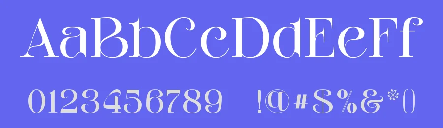 Borias Signature by ToniStudio — Script Handwritten Font — thumbnail 3