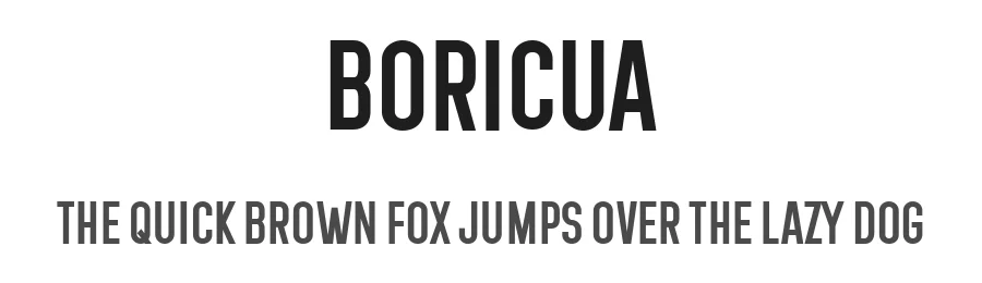 Boricua by Vladimir Nikolic β Sans Serif Font