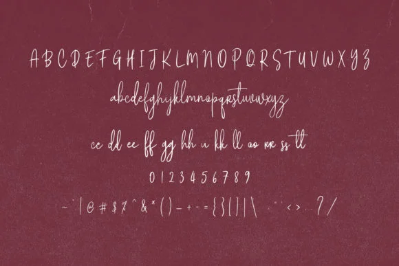 Borris Font by Maulana Creative — Script Handwritten Font — thumbnail 9