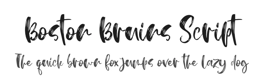 Boston Bruins Script