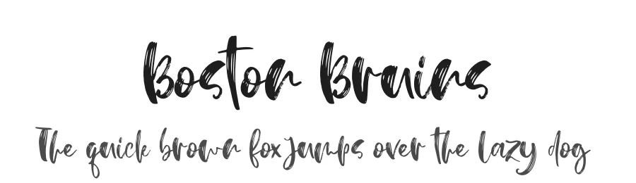 Boston Bruins by https://creativemarket.com/Besttypeco — Decorative Font