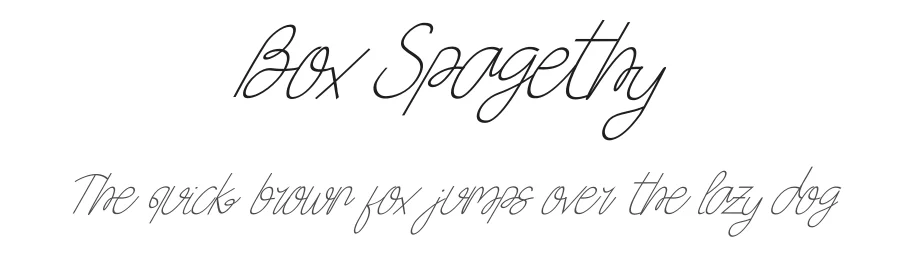 Box Spagethy