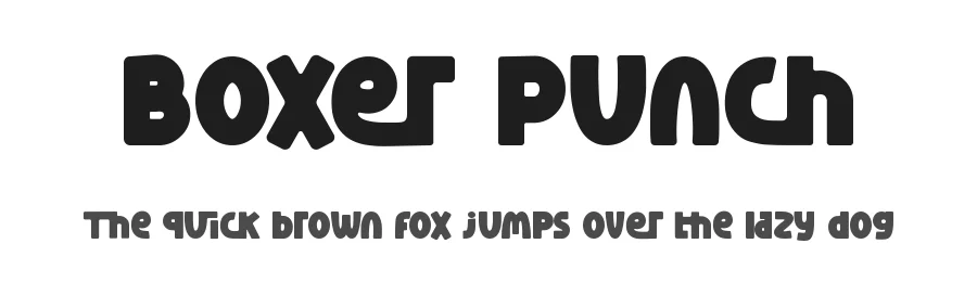 Boxer Punch