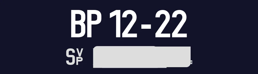 BP 12-22 by Peter Wiegel — Sans Serif Font — thumbnail 2